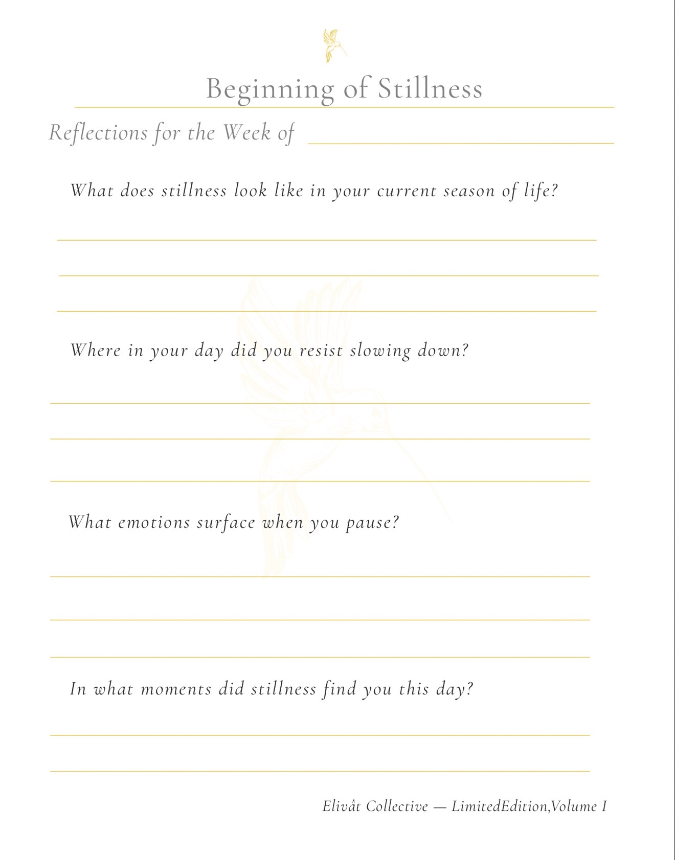 Reflection Prompts